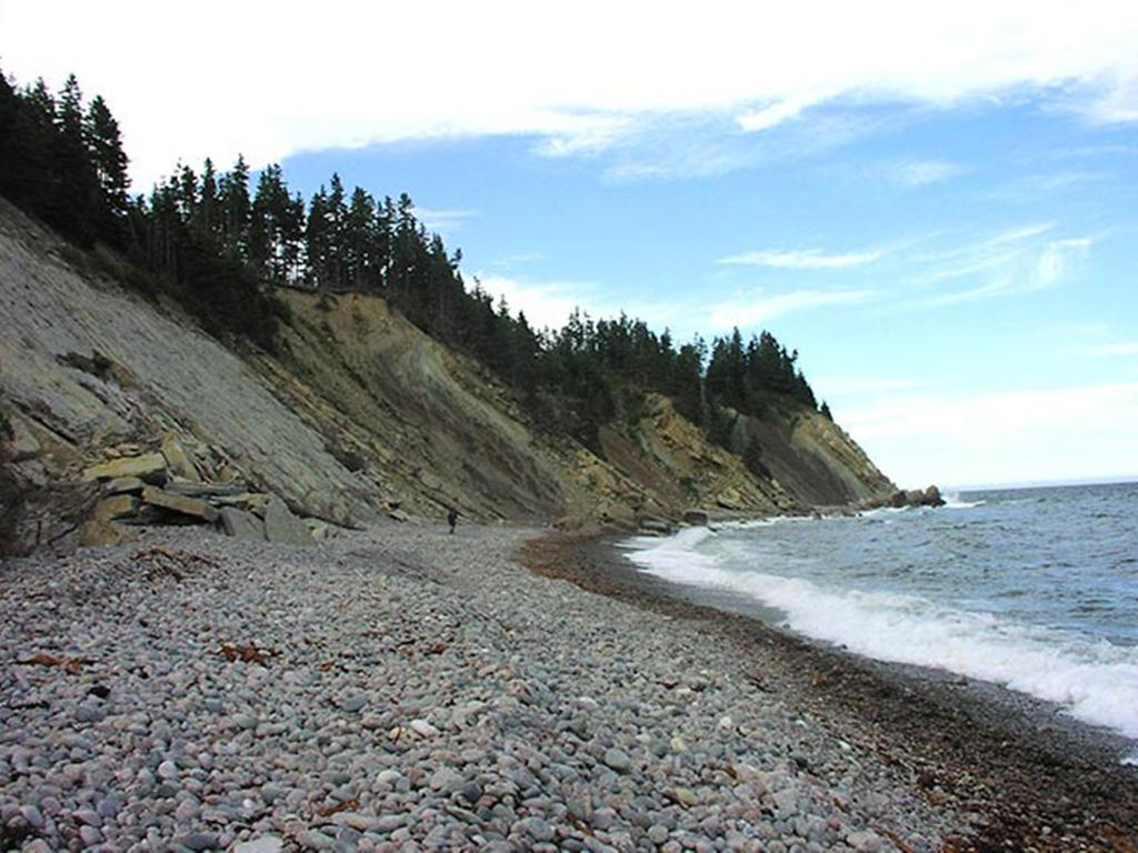 בית הארחה Indian Brook 	Breton Cove Farmhouse מראה חיצוני תמונה