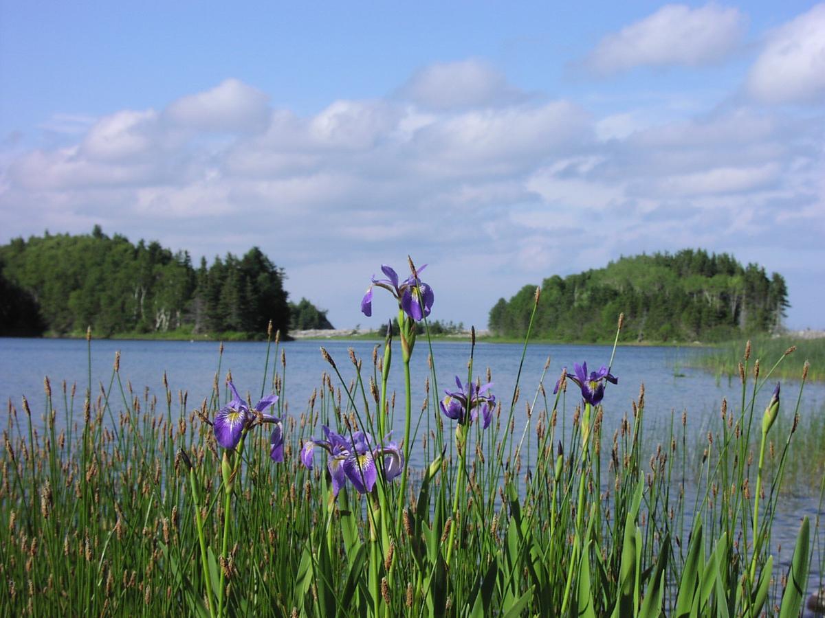 בית הארחה Indian Brook 	Breton Cove Farmhouse מראה חיצוני תמונה